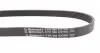 6PK905EXTRA Ремень генератора Citroen Berlingo/Peugeot Partner 1.6VTi 09- CONTITECH підбір по vin на Brocar