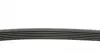 6PK986 Ремень генератора BMW 1 (F20/F21)/3 (F30/F80) 1.6i 11-/Honda Civic VII/FR-V 1.7i 01- CONTITECH підбір по vin на Brocar