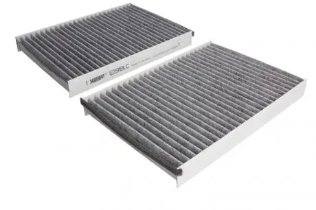 E2919LC2 Фільтр салону MB S-CLASS вугільний (2шт.) (вир-во HENGST) HENGST FILTER підбір по vin на Brocar