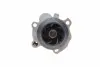 538000610 Помпа воды VW Caddy II 1.9TDI/SDI (9K9A), 11/95 - 01/04, 47/66kw INA підбір по vin на Brocar