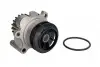 Помпа воды VW Caddy III 2.0TDI 07-10/Golf IV 1.9TDI 98- (19z) 538 0089 10