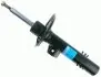 Амортизатор (передний) BMW X3 (E83) 2.0-3.0D 03-11 (L) 317 570