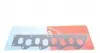 Прокладка коллектора впускного/выпускного Renault Trafic 1.9dCi 01- (F9Q) 025001P