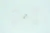17037CP Лампа розжарювання W1,2w 12v 1,2w W2x4,6d (вир-во Narva) NARVA підбір по vin на Brocar