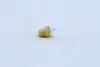 17050CP Лампа розжарювання 12v 1,5w Bx8,5d YELLOW (вир-во Narva) NARVA підбір по vin на Brocar