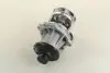352316170038 Водяной насос (пр-во Magneti Marelli кор.код. WPQ0038) MAGNETI MARELLI підбір по vin на Brocar