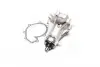 352316170671 Водяной насос (пр-во Magneti Marelli кор.код. WPQ0671) MAGNETI MARELLI підбір по vin на Brocar