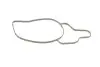 352316170690 Водяний насос (пр-во Magneti Marelli кор.код. WPQ0690) MAGNETI MARELLI підбір по vin на Brocar