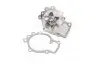 352316170768 Водяний насос (пр-во Magneti Marelli кор.код. WPQ0768) MAGNETI MARELLI підбір по vin на Brocar