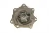 352316170798 Водяной насос (пр-во Magneti Marelli кор.код. WPQ0798) MAGNETI MARELLI підбір по vin на Brocar