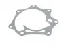 352316170798 Водяной насос (пр-во Magneti Marelli кор.код. WPQ0798) MAGNETI MARELLI підбір по vin на Brocar