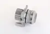 Водяний насос (Вир-во Magneti Marelli кор.код. WPQ1180) 352316171180