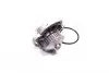 352316171188 Водяной насос (пр-во Magneti Marelli кор.код. WPQ1188) MAGNETI MARELLI підбір по vin на Brocar