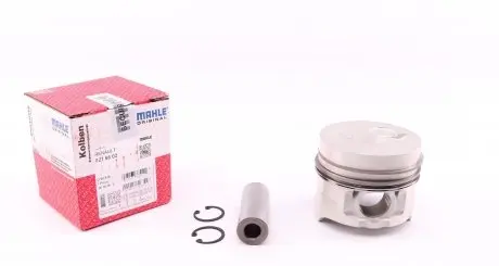 0216602 Поршень Renault Kangoo 1.9D 97- (80.51mm/+0,50) MAHLE / KNECHT підбір по vin на Brocar