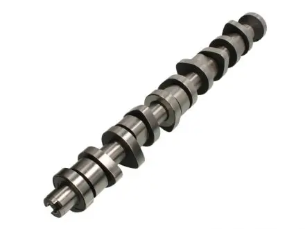CAM916 Распредвал VW T5 2.5TDI AXD/AXE/BAC/BLJ/BLK (пр-во AE) AE підбір по vin на Brocar