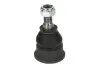 Опора шаровая RENAULT LAGUNA I, SAFRANE  (пр-во Moog) RE-BJ-7025