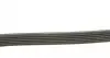 6PK1900 Ремінь генератора VW T4 2.0i 91-03/Opel Vectra A/B DAYCO підбір по vin на Brocar