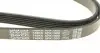 6PK1900 Ремінь генератора VW T4 2.0i 91-03/Opel Vectra A/B DAYCO підбір по vin на Brocar
