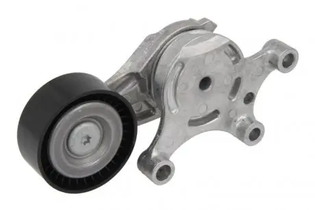 534007520 Натяжитель ремня генератора Citroen/Peugeot/Ford 1.4HDi/1.6TDCi 01- INA подбор по vin на Brocar
