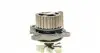 CT909WP1 Комплект ГРМ + помпа Skoda Octavia 96-10/VW Golf IV/Bora 96-05/Audi A4 1.8/1.8T 95-03 (23x150z) CONTITECH підбір по vin на Brocar