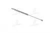 PQC203 Амортизатор багажника Lacetti HB (пр-во PARTS-MALL) PARTS-MALL підбір по vin на Brocar