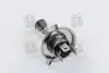 H412V10090WP43T Лампа головного світла H4 P43t 12V 100/90W &lt;Tempest&gt; TEMPEST підбір по vin на Brocar