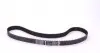 530010310 Комплект ГРМ Citroen Jumper/Peugeot Boxer 2.5D 94-02, (141x28), 63/76kw INA підбір по vin на Brocar