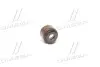 Сальник клапана EX HONDA D13/D15/D16 (пр-во PAYEN) PB356