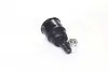 CBHO41 Опора шаровая HONDA Accord 08-,lower.F (пр-во CTR) CTR підбір по vin на Brocar