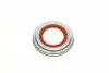 KB66917 Подушка амортизатора (переднього) + підшипник Toyota Camry/Lexus RX 96-02 (L) (+ гайки) SNR NTN підбір по vin на Brocar