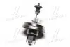H412V6055WP45T Лампа головного світла H4 P45t 12V 60/55W &lt;Tempest&gt; TEMPEST підбір по vin на Brocar