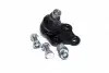Опора кульова MB VITO W638 96-03 передн. (RIDER) RD.993522394