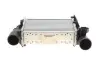 Інтеркулер A4/A6/PASSAT5 18/19TD 94- (Van Wezel) 03004112