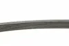 6PK1200K1 Комплект ремня генератора Renault Clio/Kangoo/Megane/Scenic 1.5dCi 01- (6PK1200) CONTITECH підбір по vin на Brocar