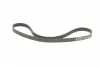6PK1200K1 Комплект ремня генератора Renault Clio/Kangoo/Megane/Scenic 1.5dCi 01- (6PK1200) CONTITECH підбір по vin на Brocar