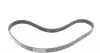 6PK1019ELASTT1 Ремень генератора Ford Fiesta/Focus 1.4/1.6i 16V 01-12 (6PK1019 ELAST+5PK690 ELAST) CONTITECH підбір по vin на Brocar