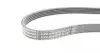 6PK1019ELASTT1 Ремень генератора Ford Fiesta/Focus 1.4/1.6i 16V 01-12 (6PK1019 ELAST+5PK690 ELAST) CONTITECH підбір по vin на Brocar