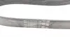 6PK1019ELASTT1 Ремень генератора Ford Fiesta/Focus 1.4/1.6i 16V 01-12 (6PK1019 ELAST+5PK690 ELAST) CONTITECH підбір по vin на Brocar
