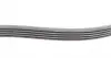 6PK1019ELASTT1 Ремень генератора Ford Fiesta/Focus 1.4/1.6i 16V 01-12 (6PK1019 ELAST+5PK690 ELAST) CONTITECH підбір по vin на Brocar