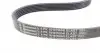6PK1019ELASTT1 Ремень генератора Ford Fiesta/Focus 1.4/1.6i 16V 01-12 (6PK1019 ELAST+5PK690 ELAST) CONTITECH підбір по vin на Brocar