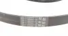 6PK1019ELASTT1 Ремень генератора Ford Fiesta/Focus 1.4/1.6i 16V 01-12 (6PK1019 ELAST+5PK690 ELAST) CONTITECH підбір по vin на Brocar