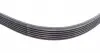 6PK1019ELASTT1 Ремень генератора Ford Fiesta/Focus 1.4/1.6i 16V 01-12 (6PK1019 ELAST+5PK690 ELAST) CONTITECH підбір по vin на Brocar