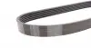 6PK976K1 Комплект ремня генератора Ford Focus/Fiesta/Fusion 1.4/1.6TDCi 03-/Mazda 3 1.6 DI 04-13 CONTITECH підбір по vin на Brocar