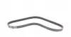 6PK976K1 Комплект ремня генератора Ford Focus/Fiesta/Fusion 1.4/1.6TDCi 03-/Mazda 3 1.6 DI 04-13 CONTITECH підбір по vin на Brocar