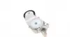 6PK976K1 Комплект ремня генератора Ford Focus/Fiesta/Fusion 1.4/1.6TDCi 03-/Mazda 3 1.6 DI 04-13 CONTITECH підбір по vin на Brocar