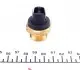03079 Датчик включення вентилятора OPEL (пр-во FEBI) FEBI BILSTEIN підбір по vin на Brocar