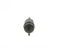 0450905926 Фільтр паливний Ford Fiesta 1.4I 01- BOSCH підбір по vin на Brocar