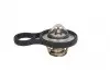 Термостат CHRYSLER; JEEP; MINI (пр-во Vernet) TH6843.91J