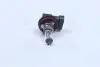 64212 Автолампа H8 12V 35W PGJ19-1 Standard Original Line OSRAM підбір по vin на Brocar