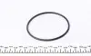 538010810 Помпа воды Opel Astra F/Omega/Vectra 1.8/2.0i -03 INA підбір по vin на Brocar